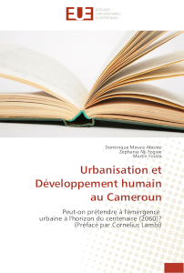 Urbanisation et développement humain au Cameroun